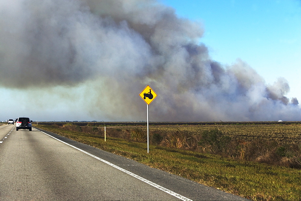 Smoke over road