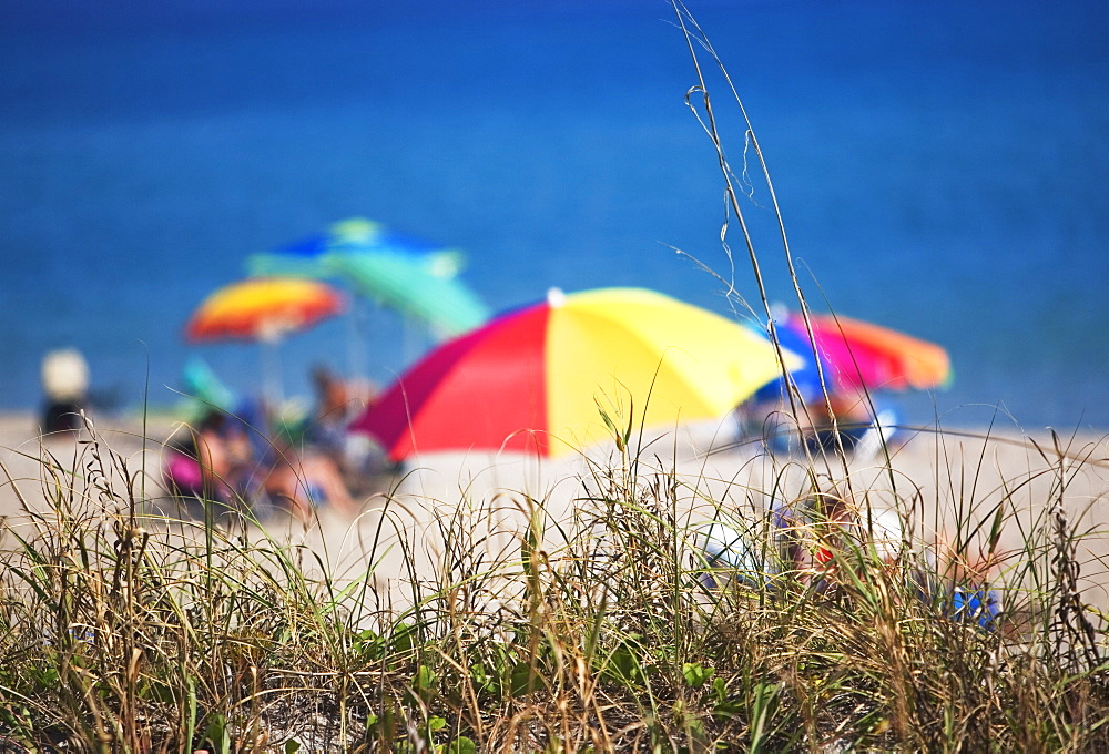 Beach umbrellas by the ocean