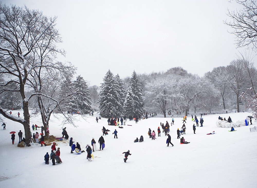 Children sledding in Central Park