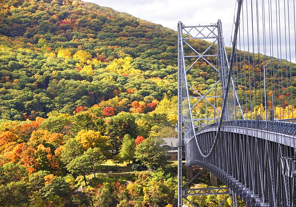 USA, New York, Bear Mountain, bridge in forest