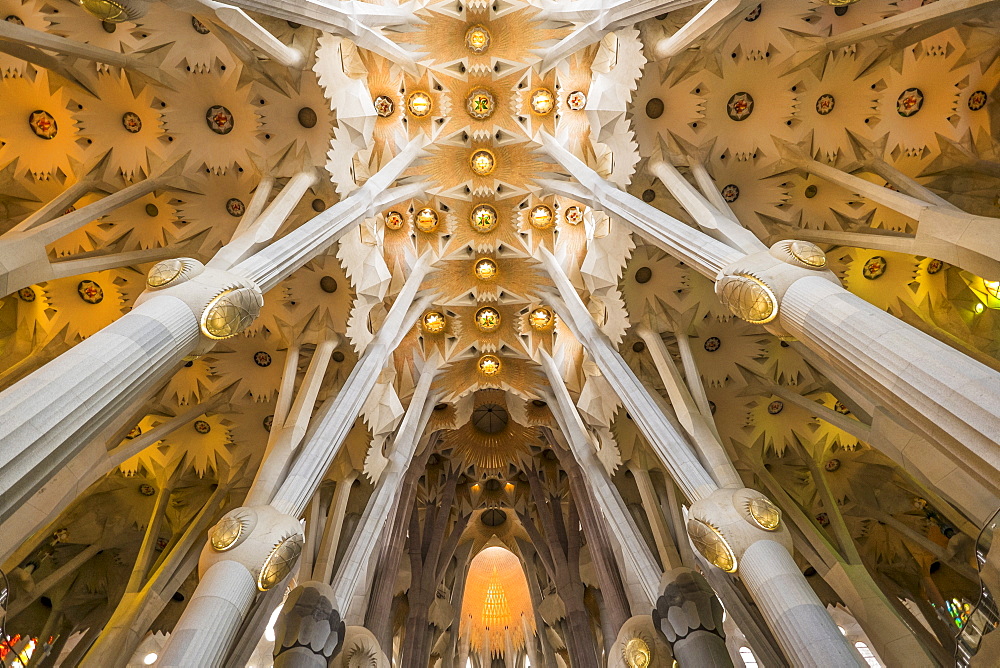 Sagrada Familia church interior, Barcelona, Spain