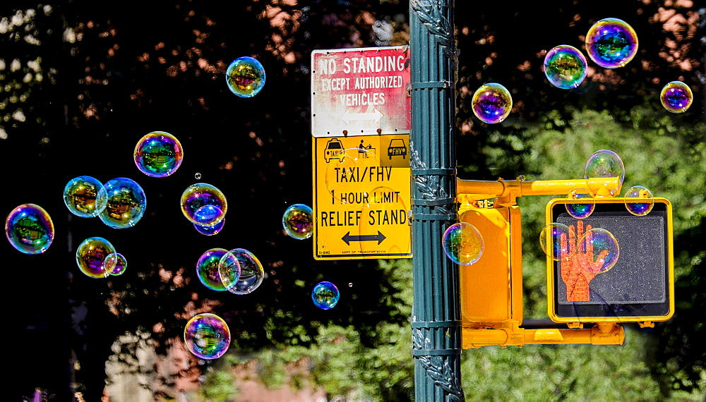 Road sign with soap bubbles, New York City, New York