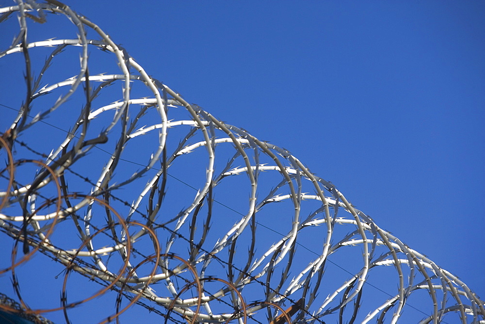 close-up of barbed wire