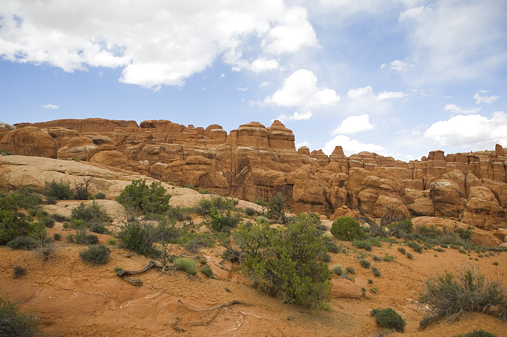 Desert landscape under blue sky