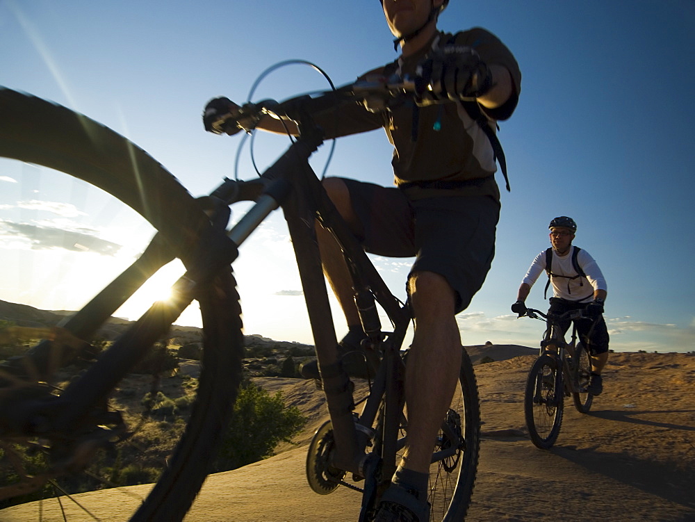 People riding mountain bikes