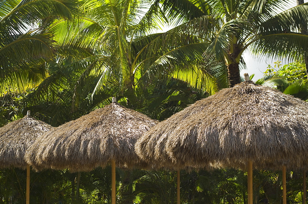 Palm frond umbrellas in front of palm trees