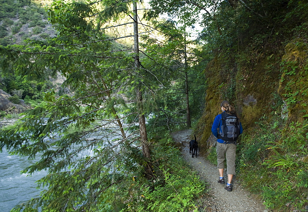 Hiker and dog on forest trail