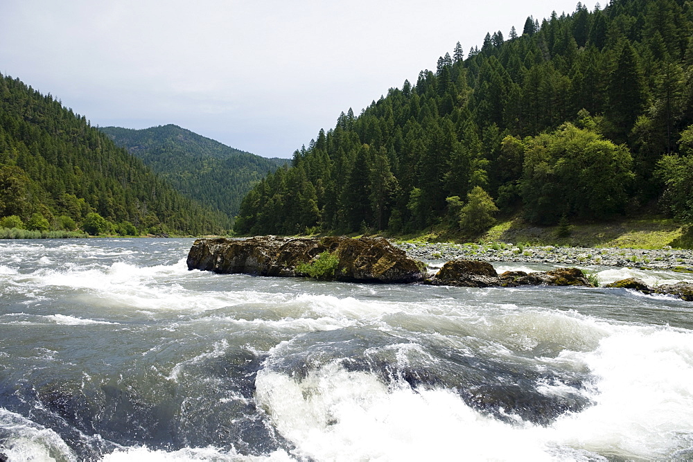 Scenic view of whitewater river