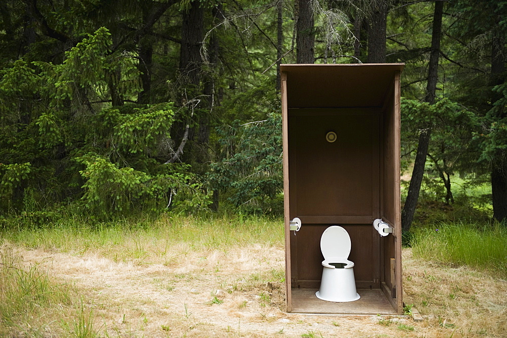 Outhouse in forest