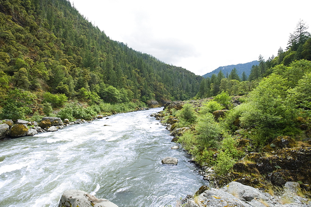 Scenic view of river and forested canyon