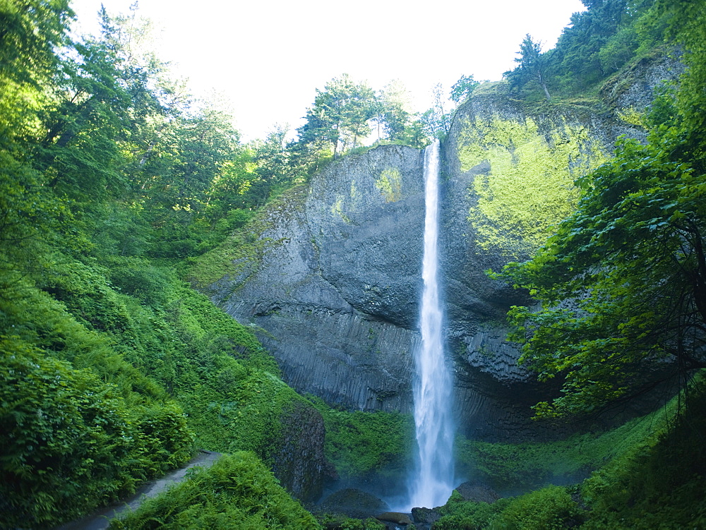 Lush canyon and waterfall