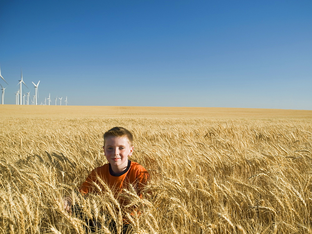 Boy sitting in tall wheat field on wind farm