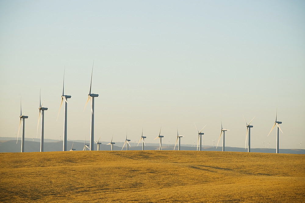 Rows of windmills on wind farm