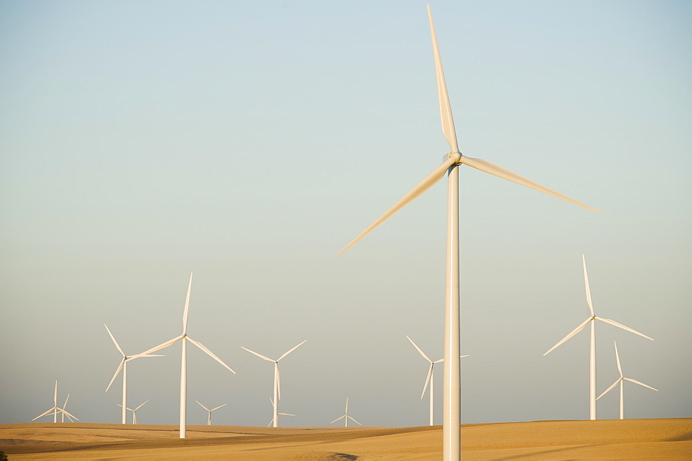 Rows of windmills on wind farm