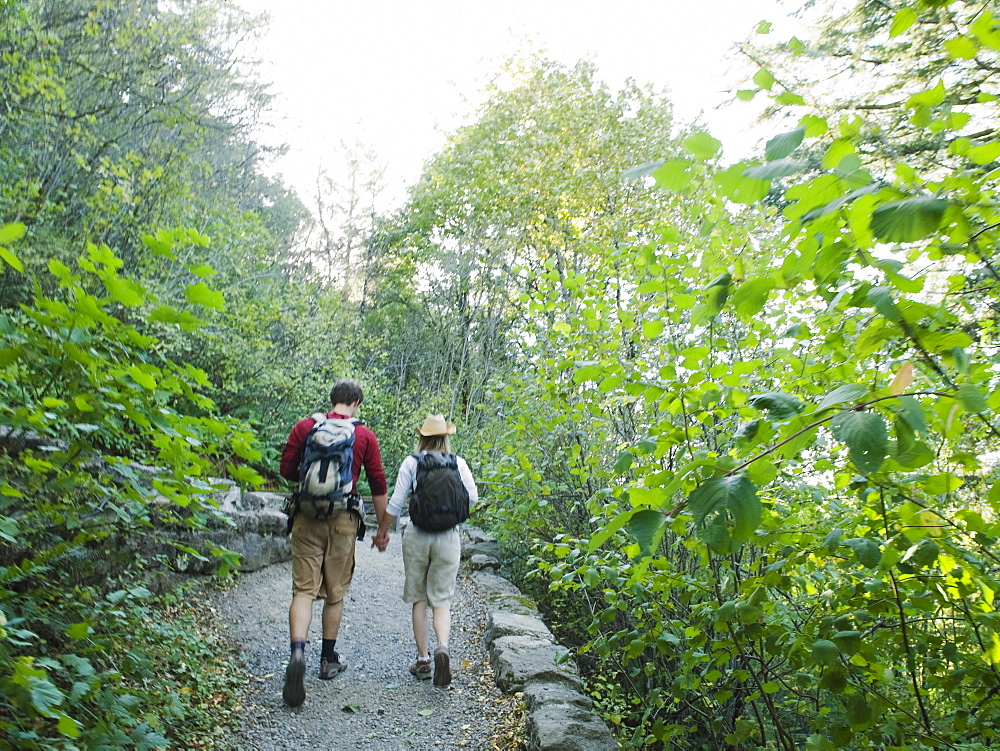 Hikers on path