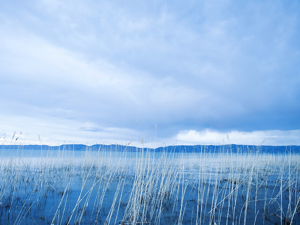 View of lake
