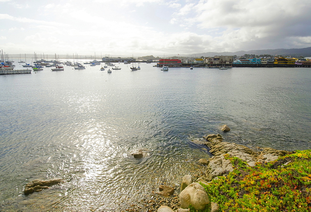 View of tranquil bay on sunny day, Monterey, California