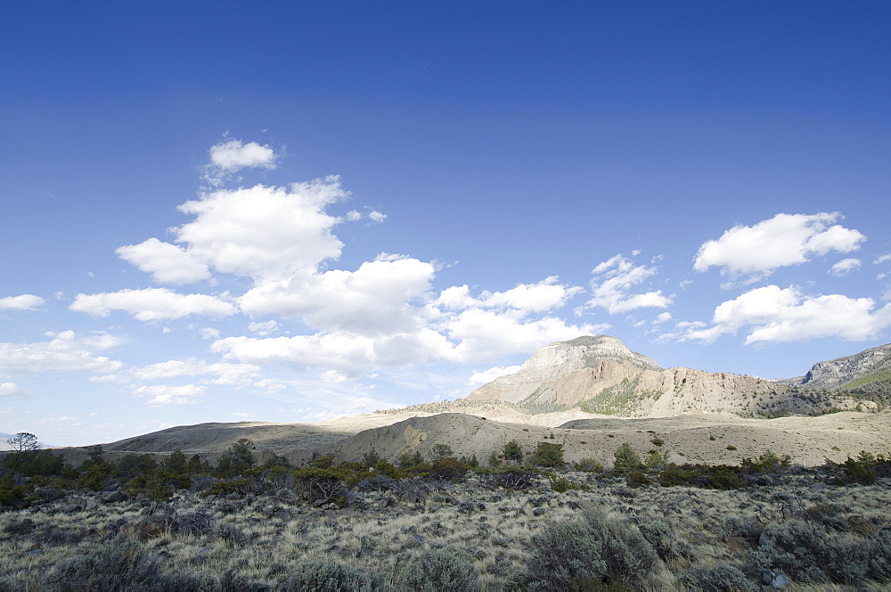 Landscape with Rocky Mountains in background, Wyoming