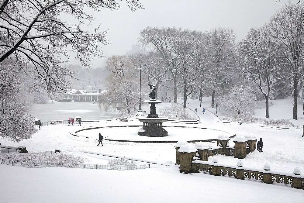 Central Park at winter, New York City