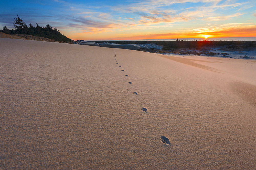 Footsteps on sand dune during sunset, Oregon, USA