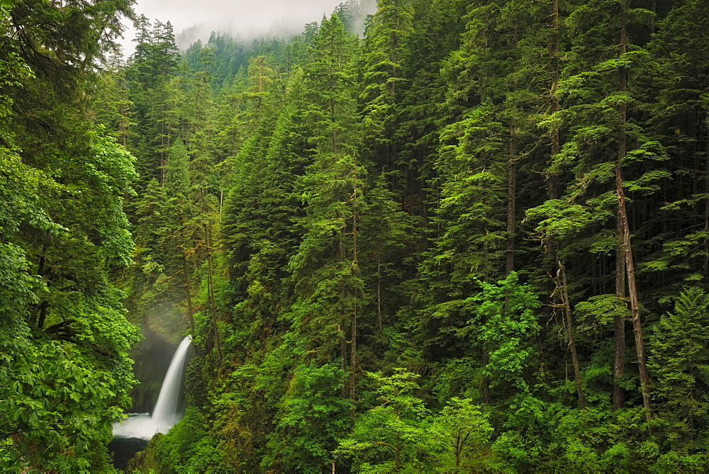 Metlako Falls, Multnomah County, Oregon