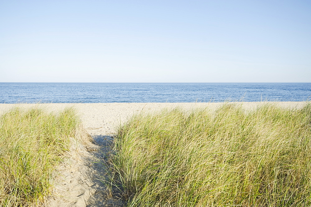 Path leading to beach, Siasconset, Nantucket, Massachusetts, USA