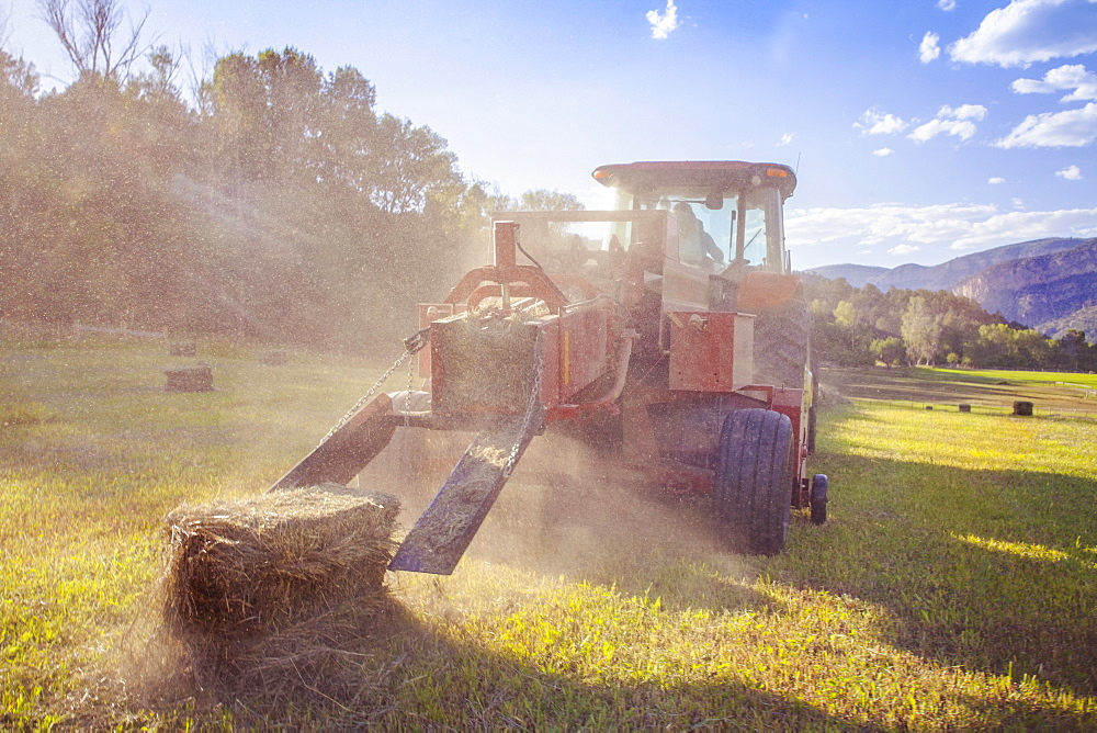 Tractor in field at sunset, Colorado