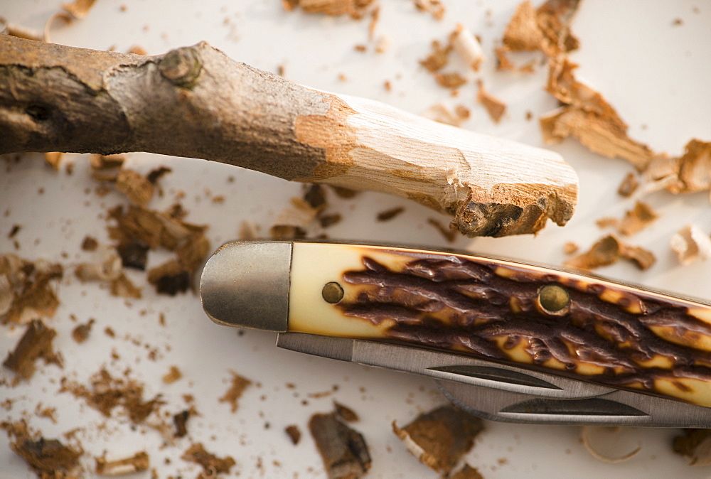 Studio Shot of pocket knife and stick