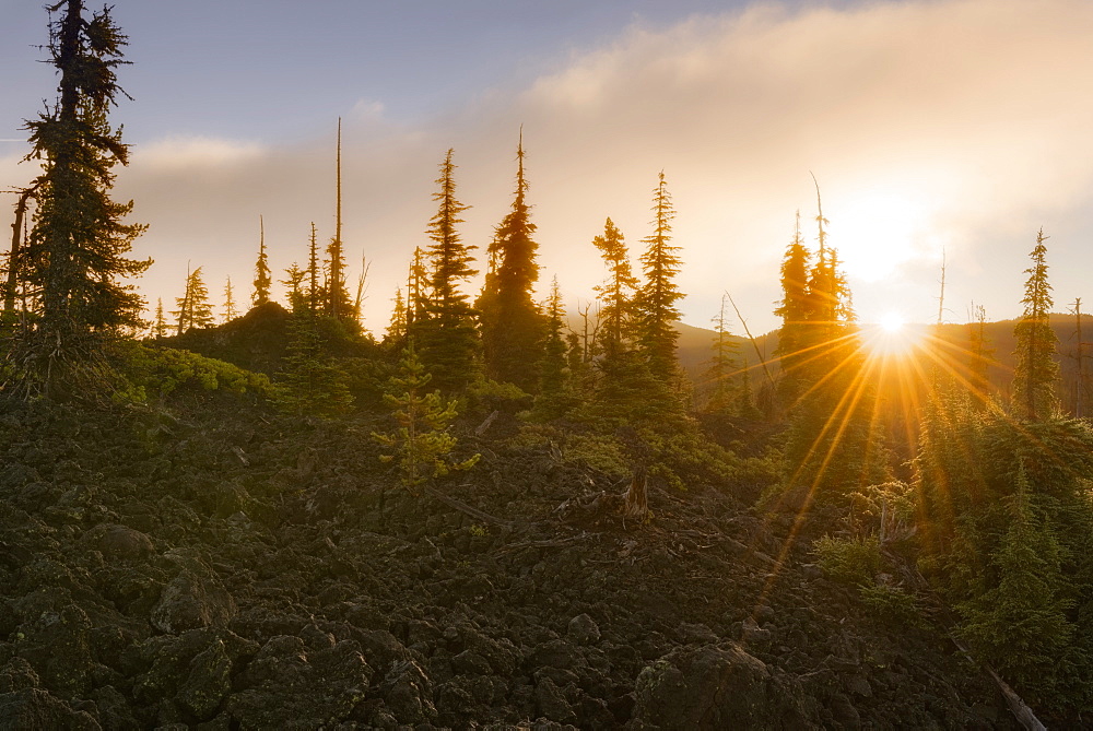 Scenic view of landscape at sunset, Mckenzie Pass, Oregon