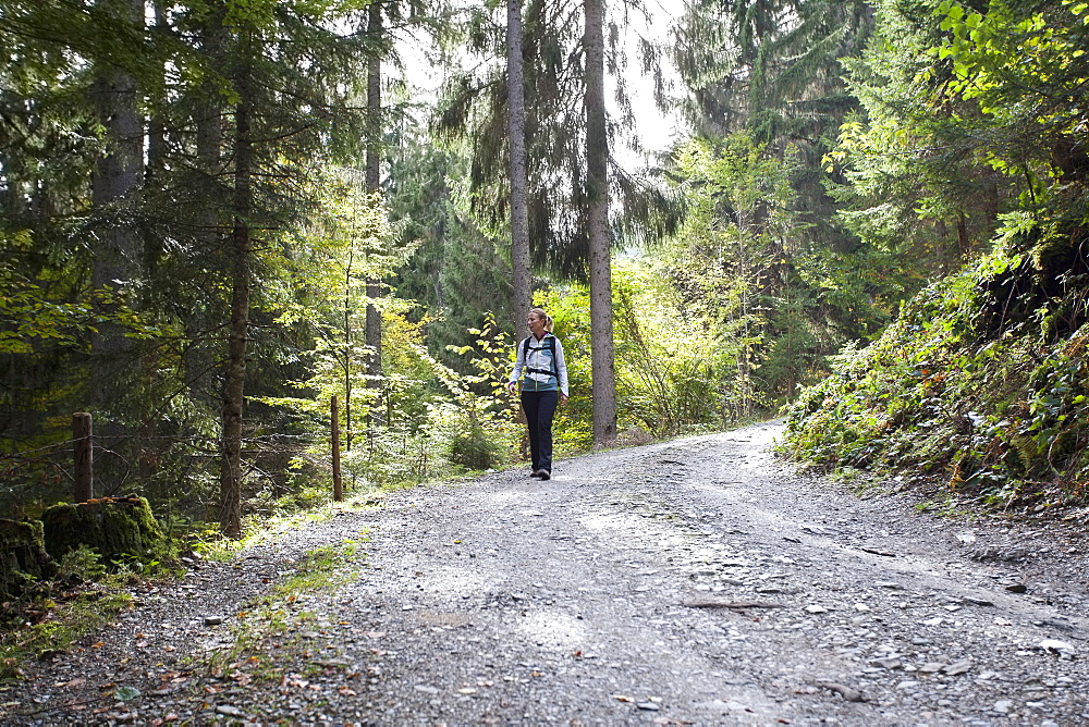 Woman hiking in forest, Austria, Salzburger Land, Maria Alm