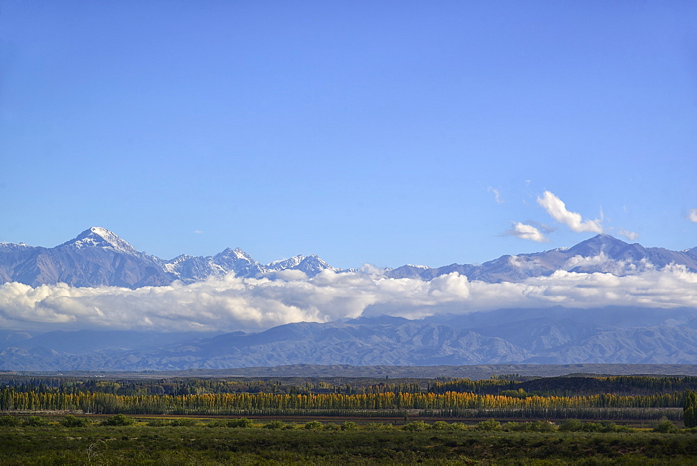 View of Andes Mountains across Uco Valley, Uco Valley, Mendoza, Argentina