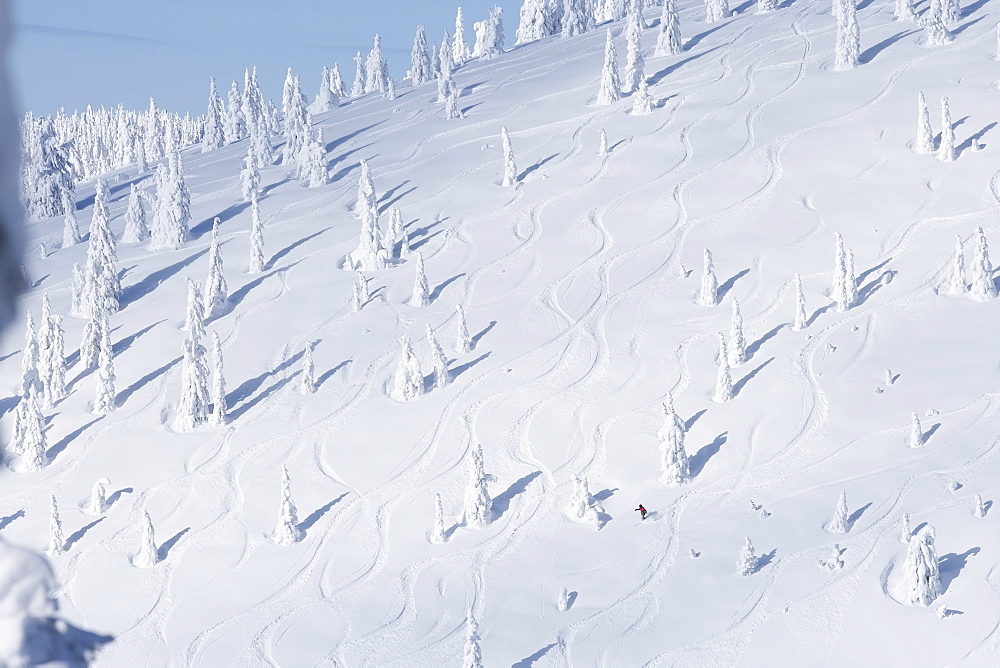 Ski slope with snowy trees, Whitefish, Montana, USA