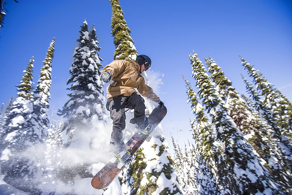 Snowboarder in mid-air against snowy trees, Whitefish, Montana, USA