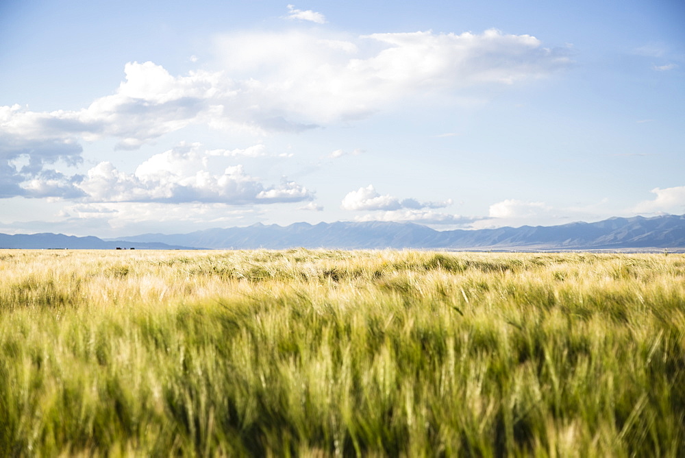 Scenic view of landscape