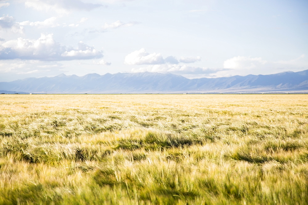 Scenic view of landscape, Colorado, USA