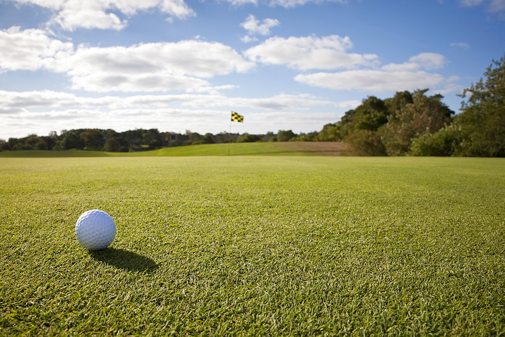 Golf ball on grass in golf course, Massachusetts, USA