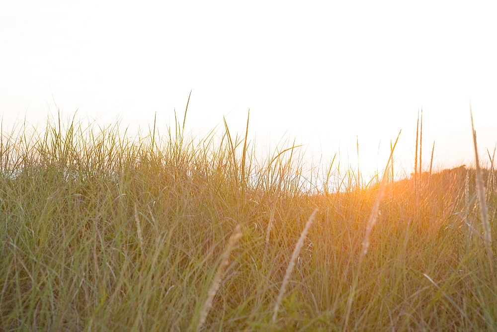 Scenic view of sunset, Nantucket Island, Massachusetts, USA