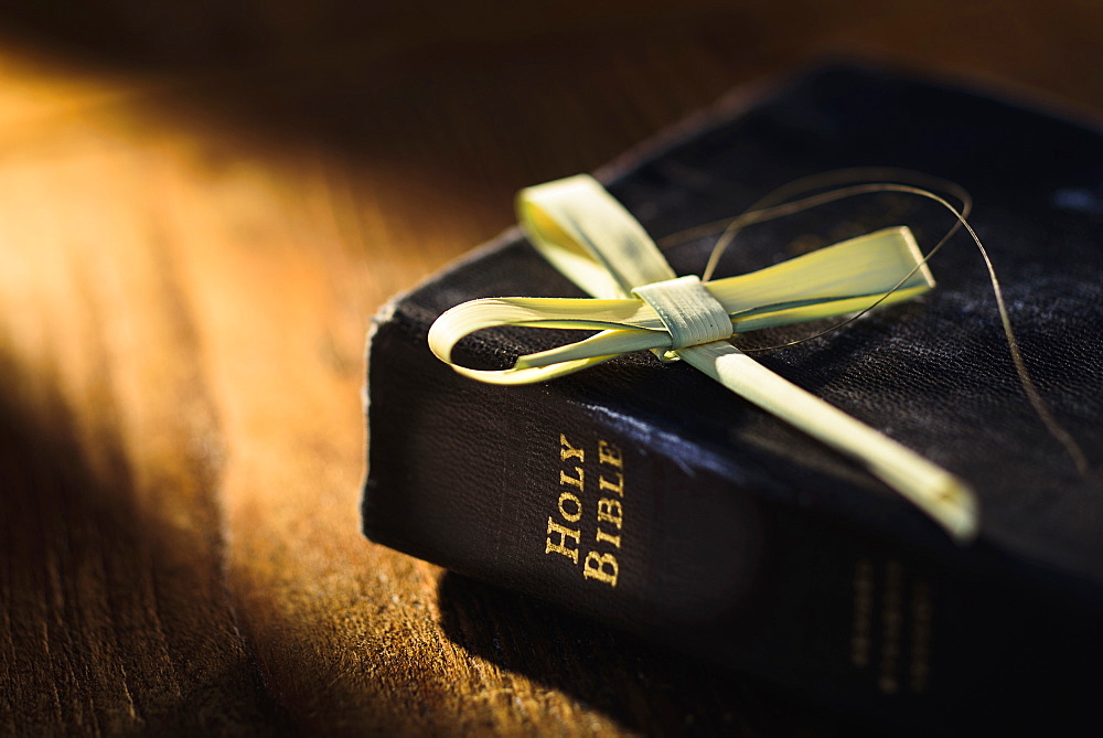 Close up of Bible on table