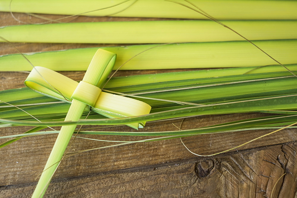 Palm leaves for palm sunday