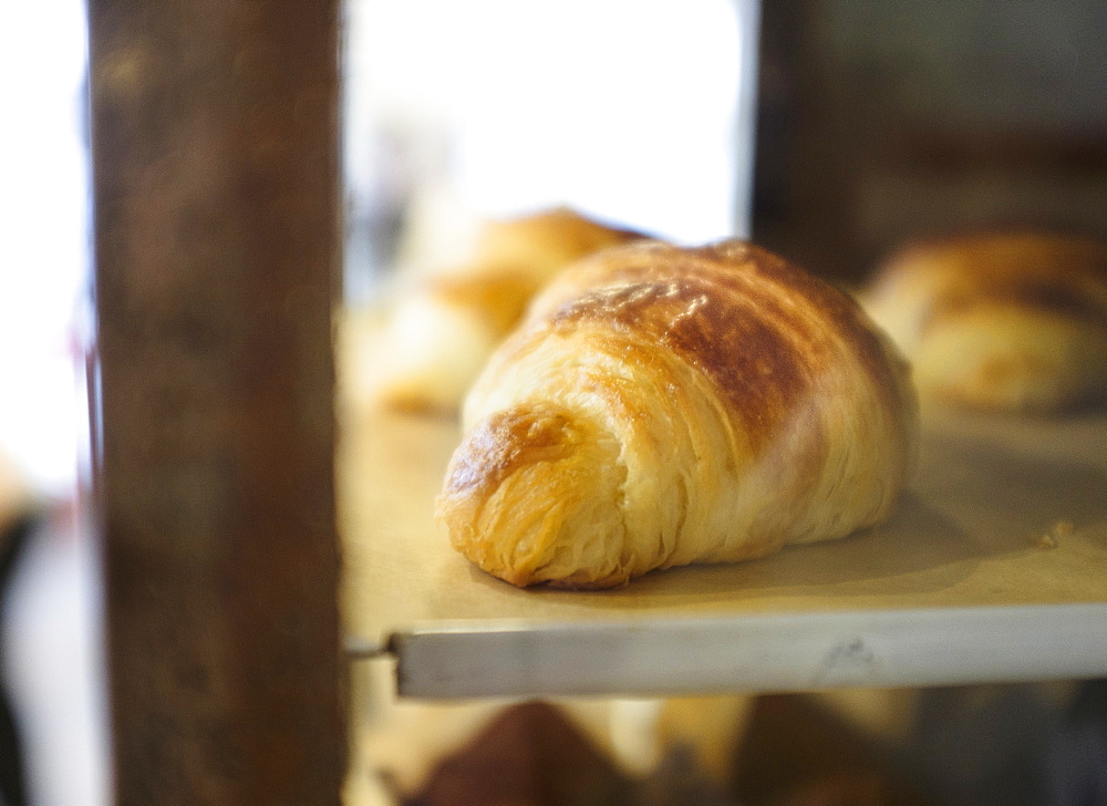 Close-up of croissant in bakery