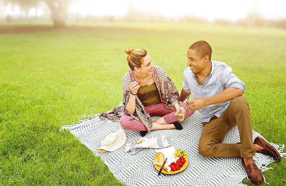 Mid adult couple having picnic in park