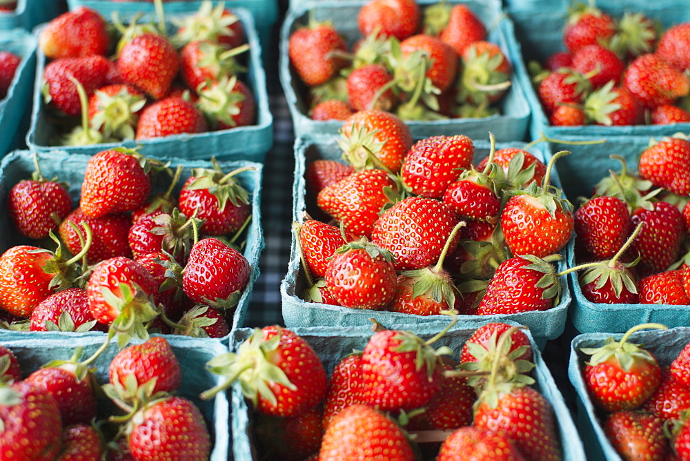 Crates of strawberries