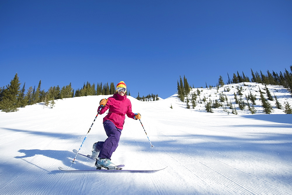 Woman skiing downhill, USA, Montana, Whitefish