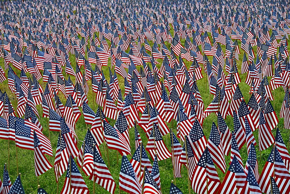 Massachusetts, Boston, American flags on Boston Common