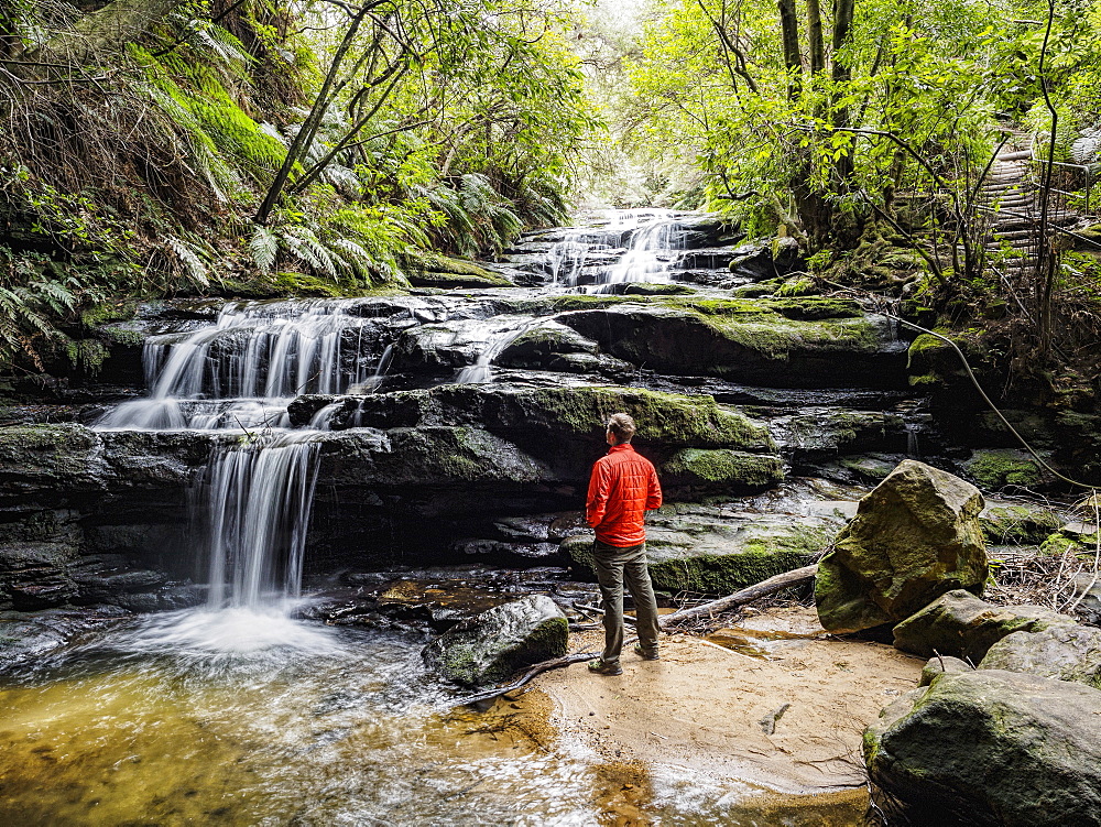 Australia, New South Wales, Blue Mountains National Park, Leura Cascades, Young man standing by waterfall in forest