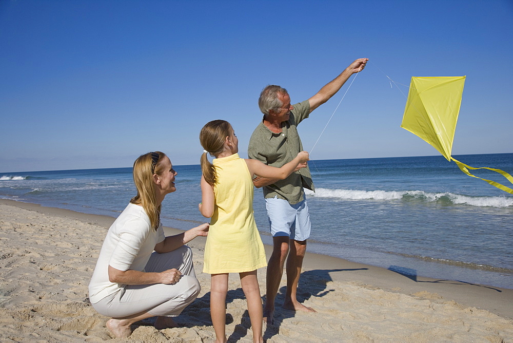 Family flying kite at beach