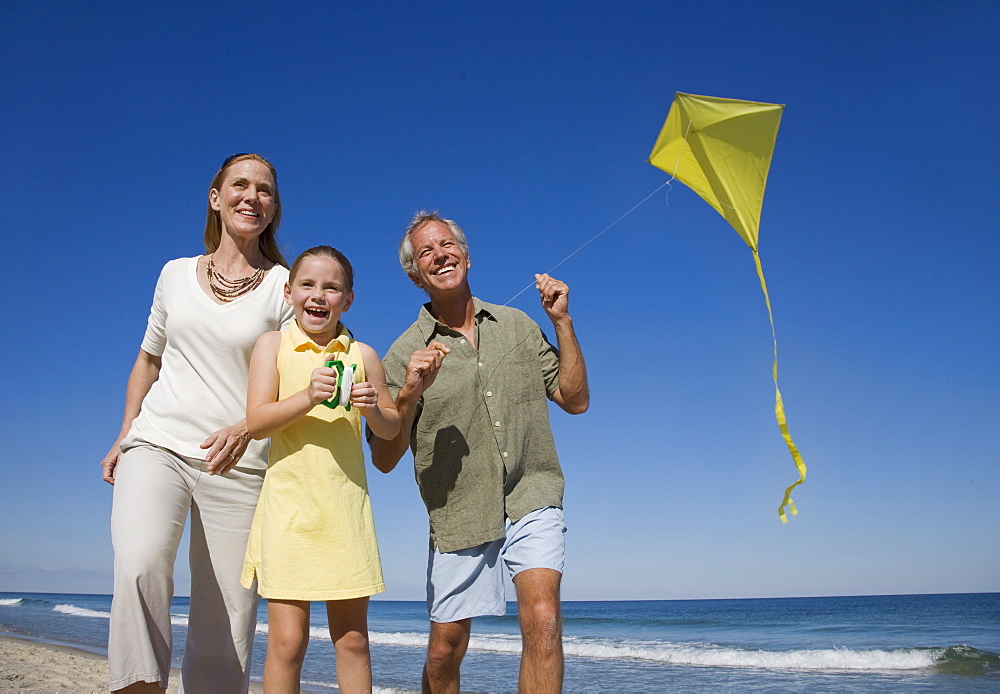 Family flying kite at beach