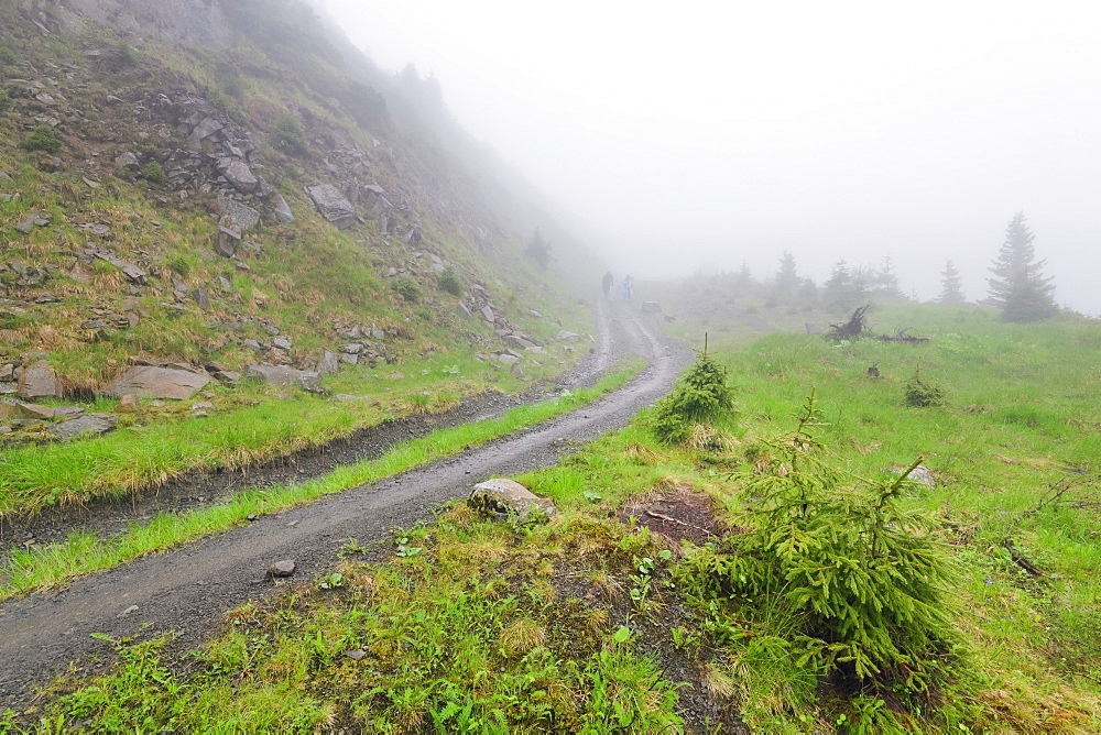 Ukraine, Zakarpattia, Rakhiv district, Carpathians, Maramures, Hiking trail in rolling landscape