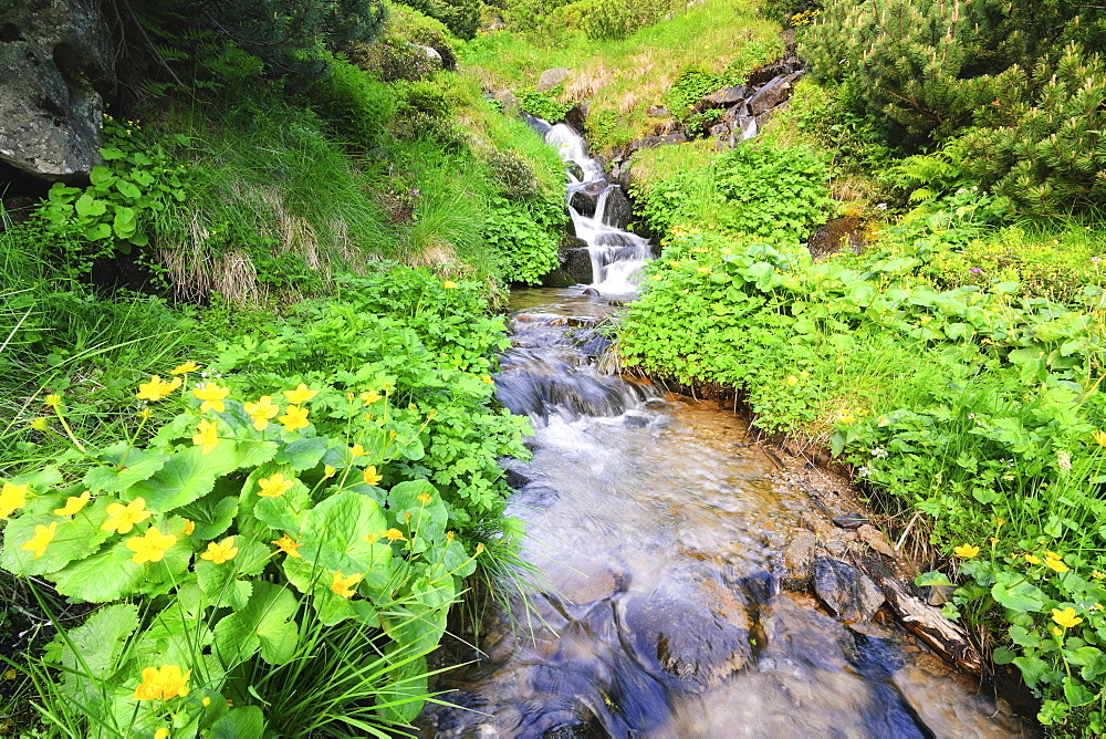Ukraine, Ivano-Frankivsk region, Verkhovyna district, Carpathians, Dzembronskie waterfalls