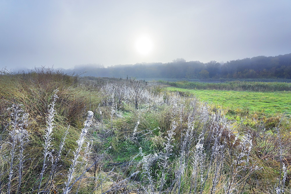 Ukraine, Dnepropetrovsk region, Novomoskovsk district, Sun shining over meadow